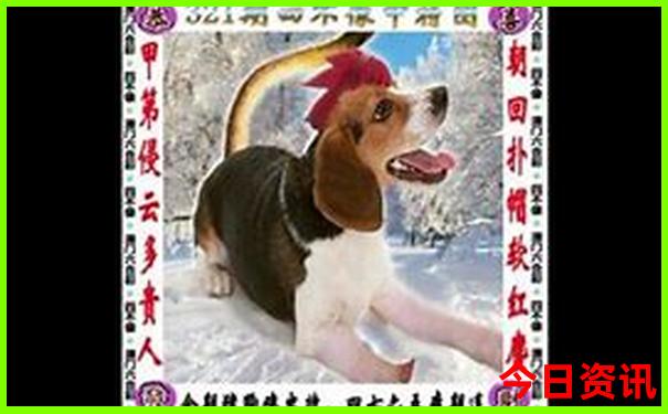 成都2日游最佳路线安排